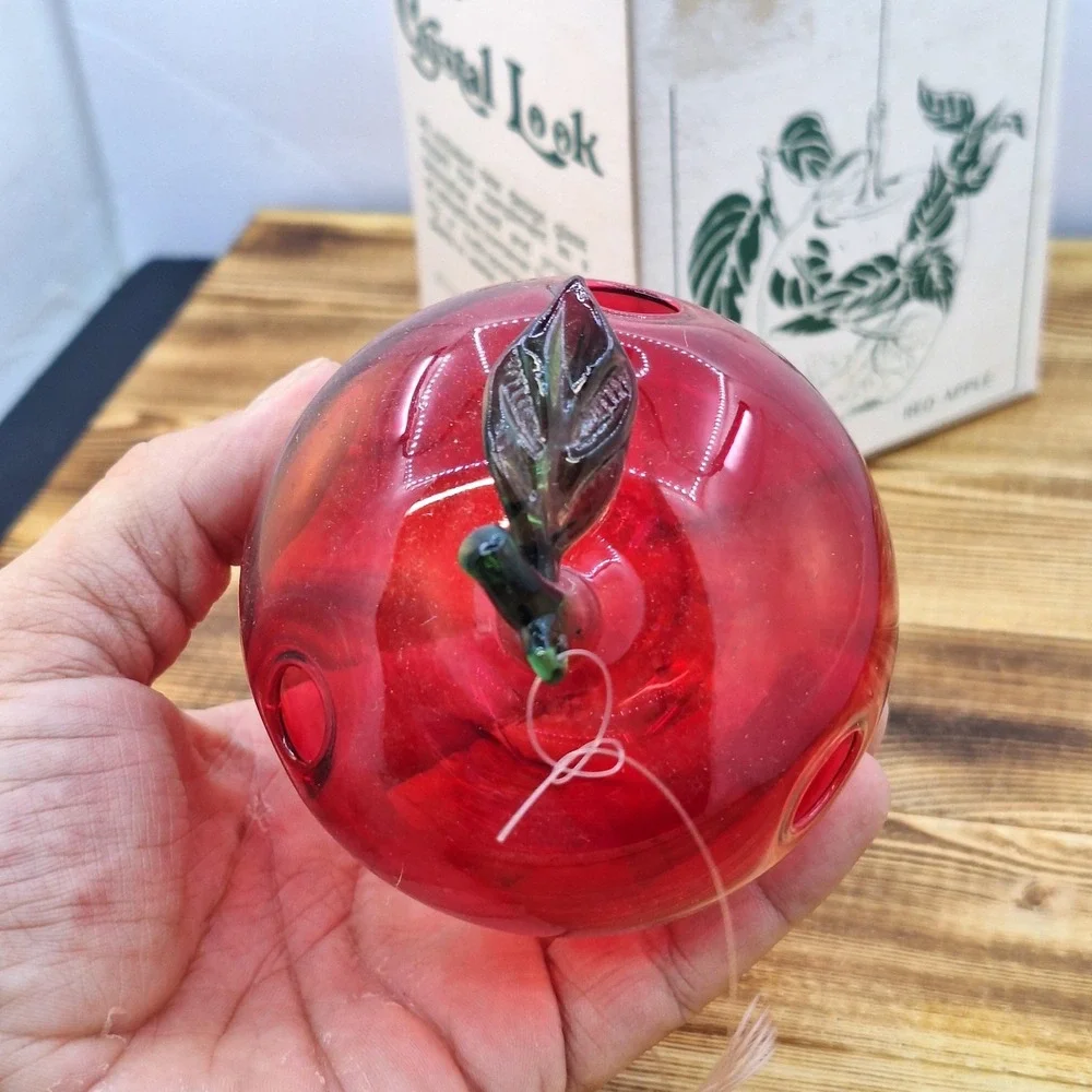 Red Apple Hand-blown Hanging Propagation Air Plant‎ Glass Sears Box